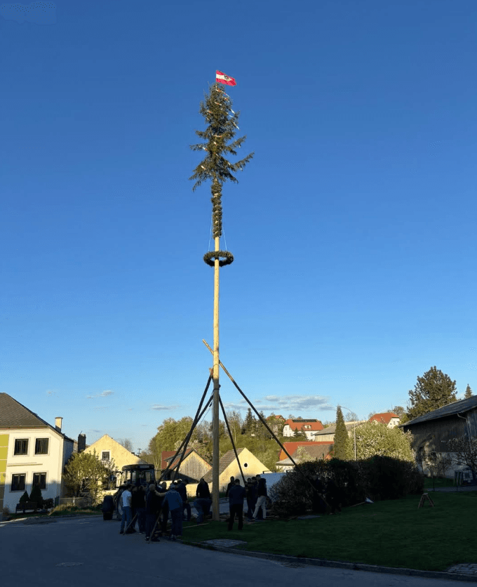 Das war unser Maibaumaufstellen 2026!